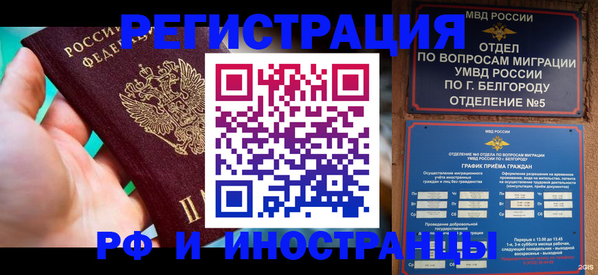 форма 3 в Оленегорске